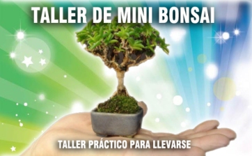 boton-bonsai.jpg