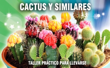 boton-cactus.jpg